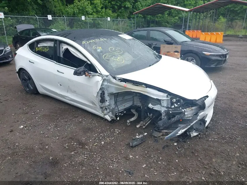 TESLA MODEL 3 2020. Lot# 42443262. VIN 5YJ3E1EA7LF645286. Photo 1