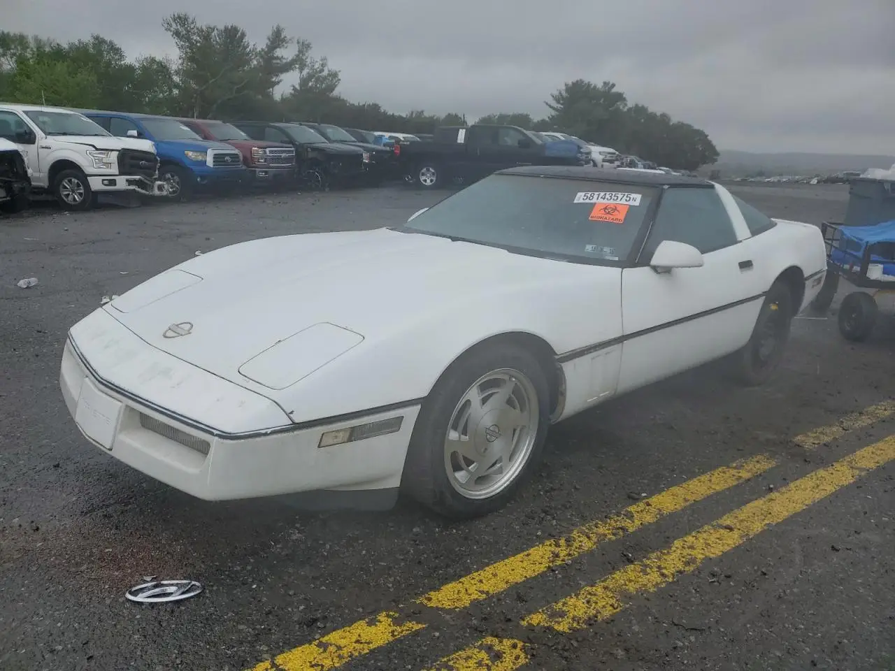 CHEVROLET CORVETTE 1989. Lot# 58143575. VIN 1G1YY2181K5101638. Photo 1