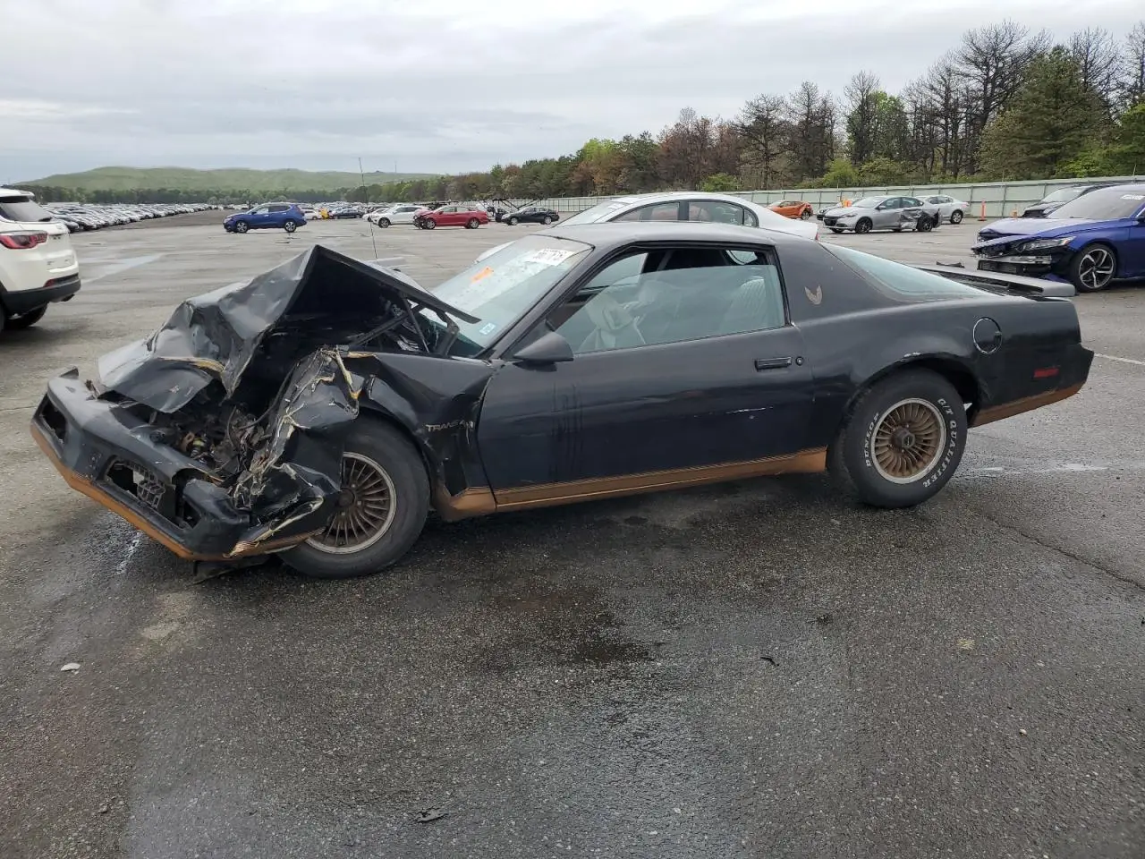 PONTIAC FIREBIRD 1983. Lot# 56677615. VIN 1G2AW87H5DN231857. Photo 1