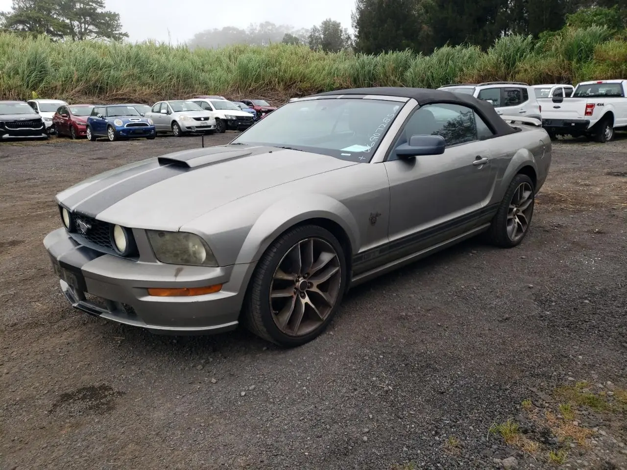 FORD MUSTANG 2009. Lot# 66907285. VIN 1ZVHT85H295115896. Photo 1